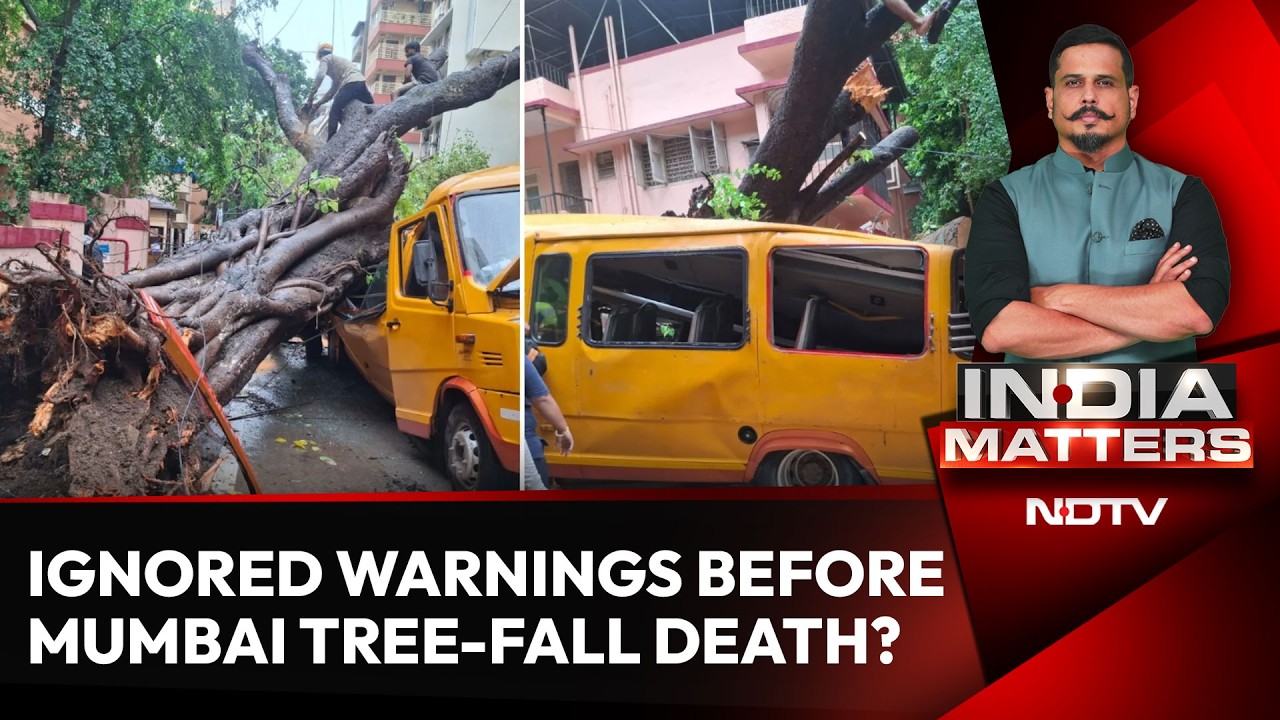 Mumbai Tree Tragedy: Residents Say Warnings Were Ignored Before Child's Death
