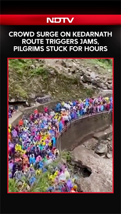 Uttarakhand News | Massive Rush On Kedarnath Route: Pilgrims Stranded For Hours Amid Traffic Chaos