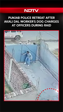 Punjab Police Retreat After Akali Dal Worker's Pet Dog Charges At Officers During Raid