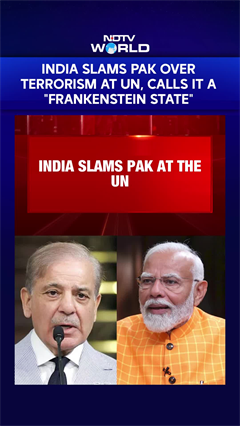 India Vs Pakistan News | India Slams Pak Over Terrorism At UN, Calls It A "Frankenstein State"
