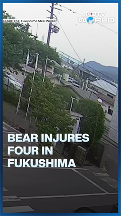 On Camera: Bear Injures Four In Fukushima