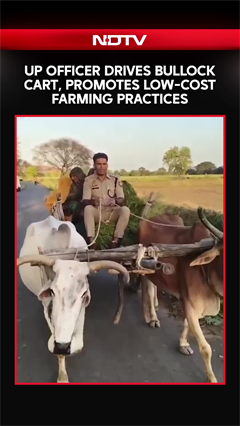 Video: UP Officer Drives Bullock Cart, Promotes Low-Cost Farming Practices