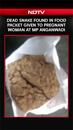 Dead Snake Found In Food Packet Given To Pregnant Woman At Madhya Pradesh Anganwadi Centre