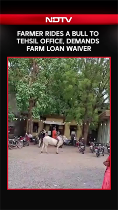 Farmer Rides A Bull to Tehsil Office, Demands Farm Loan Waiver