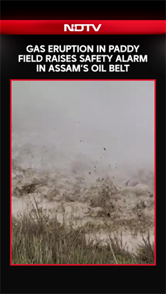 Gas Eruption in Paddy Field Triggers Safety Alarm in Assam
