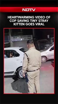 Heartwarming Video Of Cop Saving Tiny Stray Kitten Goes Viral
