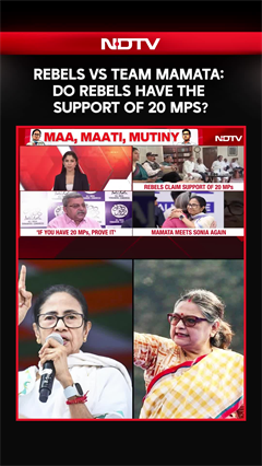 TMC Crisis | Rebels Vs Team Mamata: Do Rebels Have The Support of 20 MPs?