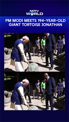 PM Modi Feeds Giant Tortoises During Seychelles Botanical Garden Visit