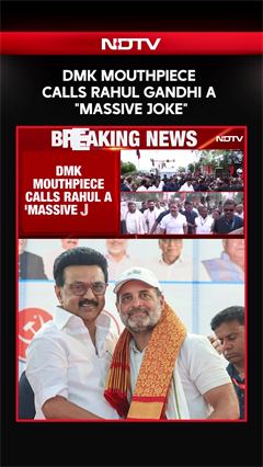 Rahul Gandhi News | "A Big Joke, Politically Immature": DMK's All-Out Attack On Rahul Gandhi