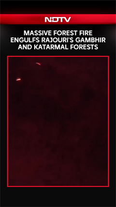 Jammu Kashmir | Massive Forest Fire Engulfs Rajouri's Gambhir And Katarmal Forests