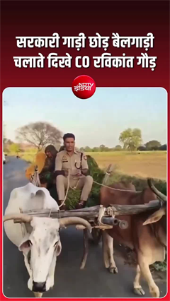 महोबा में CO का देसी अंदाज वायरल, बैलगाड़ी चलाते दिखे रविकांत गौड़