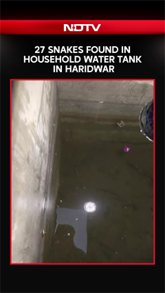 27 Snakes Found Inside Household Water Tank in Haridwar | Shocking Rescue Caught on Camera