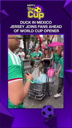 Viral Duck In Mexico Jersey Steals The Show As Fans Celebrate FIFA World Cup Kickoff