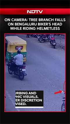 On Camera: Tree Branch Falls On Bengaluru Biker's Head While Riding Helmetless