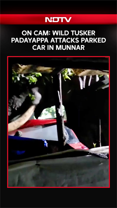 On Cam: Wild Tusker Attacks Parked Car in Munnar