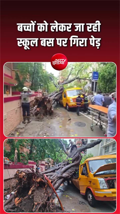 Video: मुंबई में बड़ा हादसा! स्कूल बस पर गिरा पेड़, मासूम बच्चे घायल