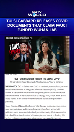 COVID 19 | Tulsi Gabbard Releases COVID Documents That Claim US Scientist Fauci Funded Wuhan Lab