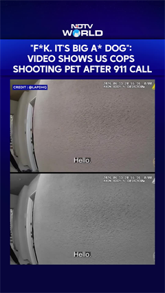 On Cam: Moment LAPD Officers Shot Pet Dog Dead After 911 Call