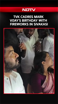 Vijay Birthday | TVK Supporters Celebrate Vijay's Birthday With Fireworks In Sivakasi