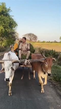 सरकारी गाड़ी छोड़ जब बैलगाड़ी चलाने लगे CO रविकांत गौड़, खाकी की सादगी ने जीता सबका दिल