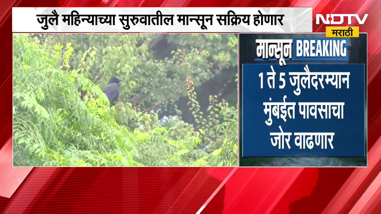 मराठवाड्यातील 6 जिल्ह्यात पावसाचा अंदाज | कोकण, मध्य महाराष्ट्राला पावसाचा येलो अलर्ट | Rain Update