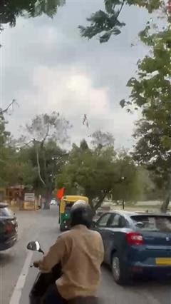 Video : उदयपुर में 70 मीटर ऊपर फंसे पर्यटक