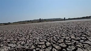 सूखे की मार झेल रहा मराठवाड़ा, बांध में मरी मछलियां