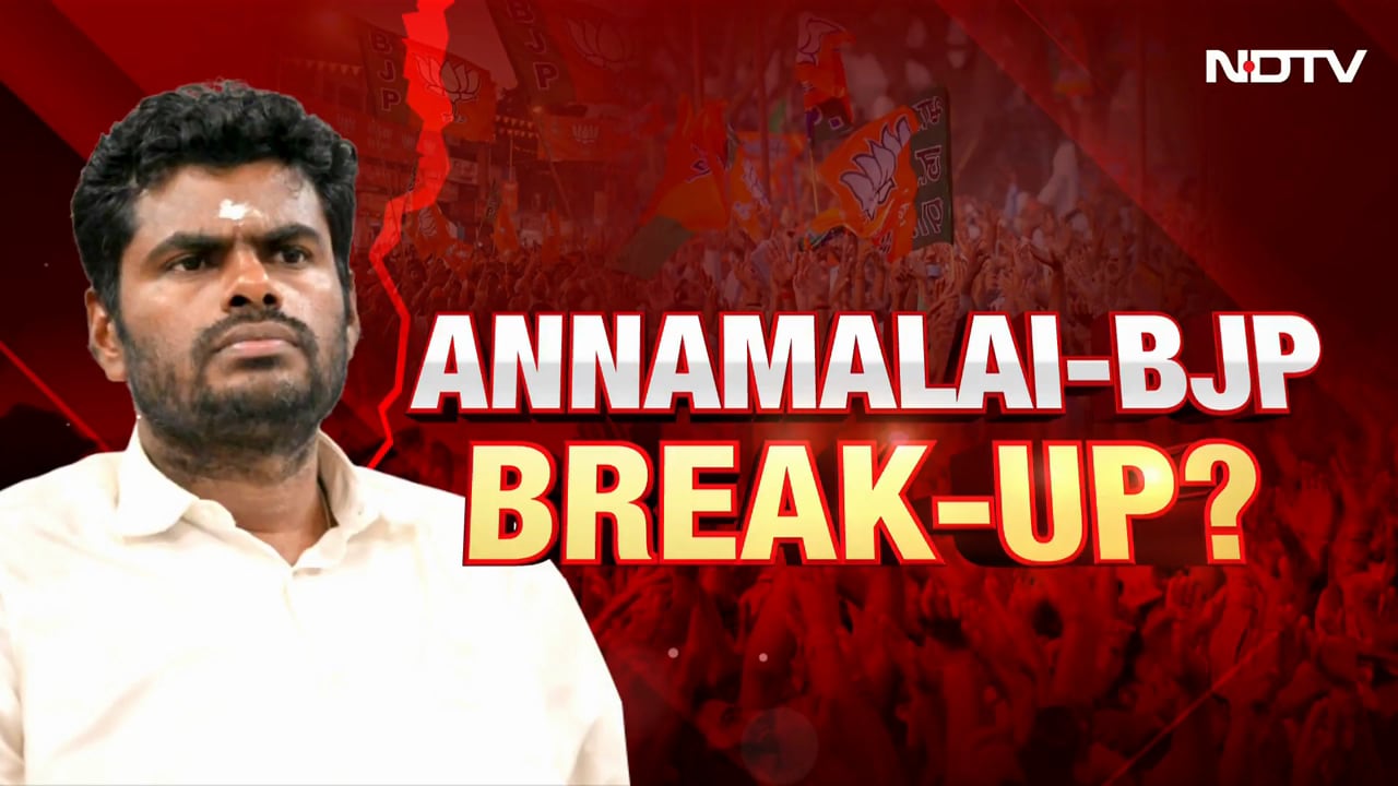 'Want Cordial Separation': What Annamalai Told BJP President Nitin Nabin