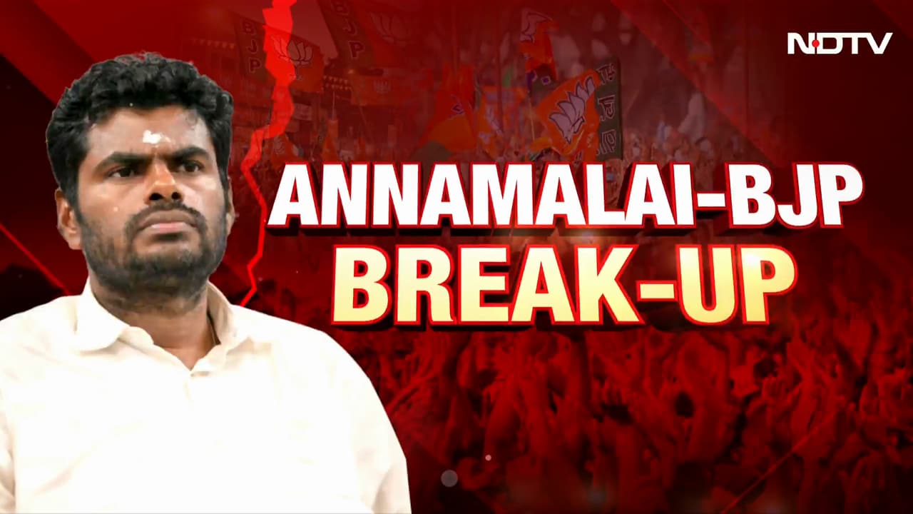 K Annamalai Resigns From BJP's Primary Membership, Party Accepts Resignation