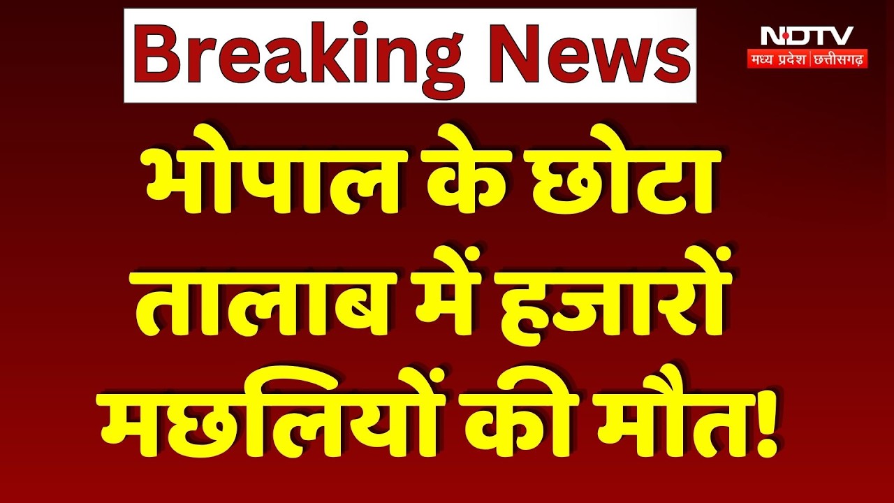 Bhopal News: छोटा तालाब में 2 दिन में हजारों मछलियों की कैसे हुई मौत? Breaking News | MP News