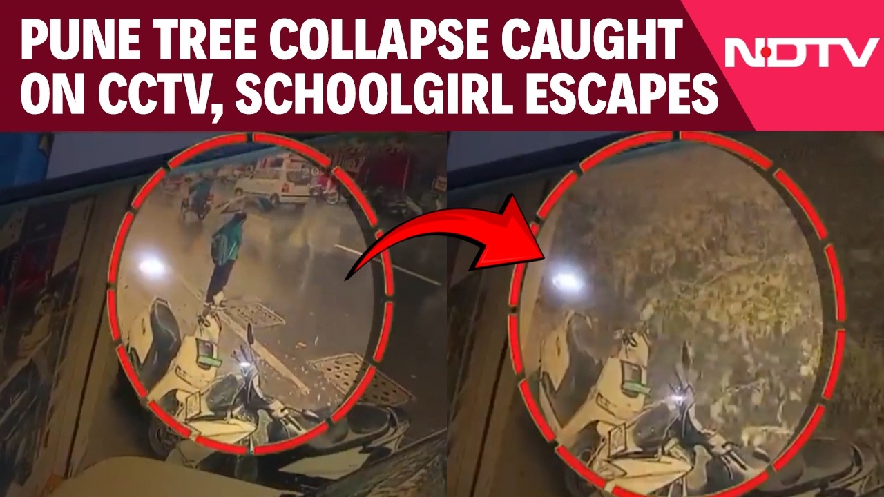 Pune Tree Collapse Caught On CCTV: Schoolgirl Narrowly Escapes During Heavy Rain