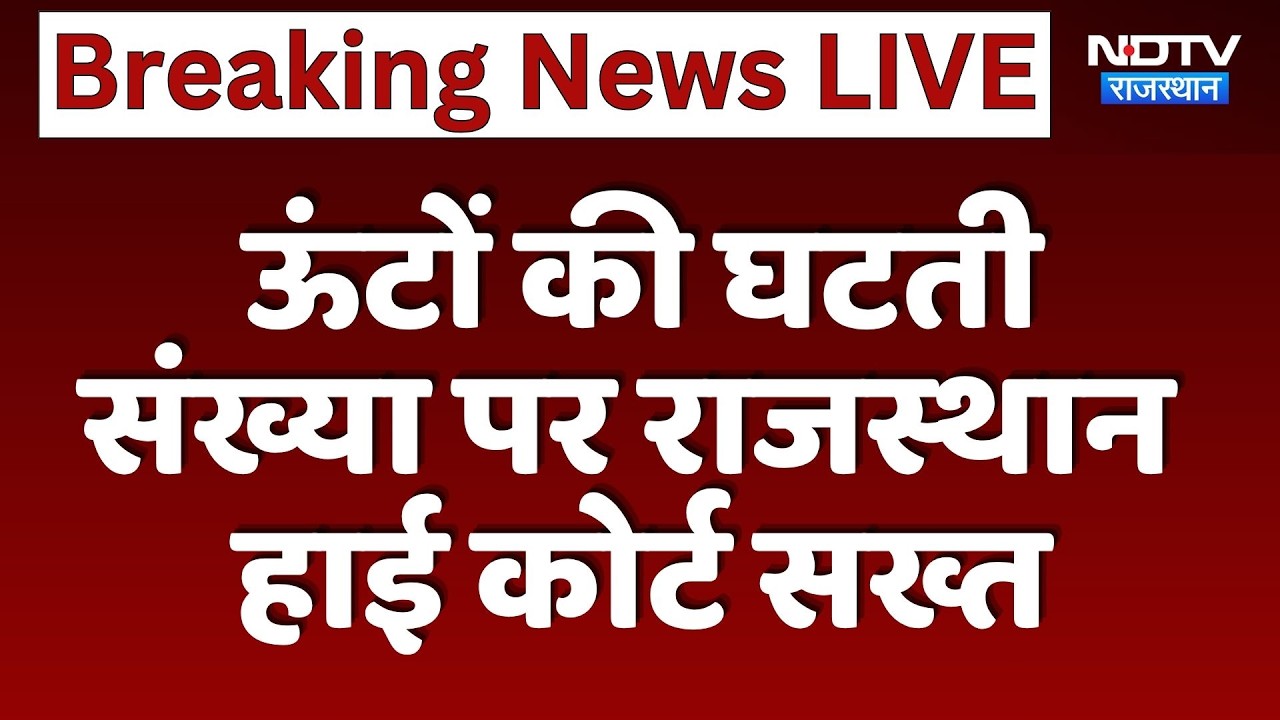 Camels की घटती संख्या पर Rajasthan High Court सख्त | Top News