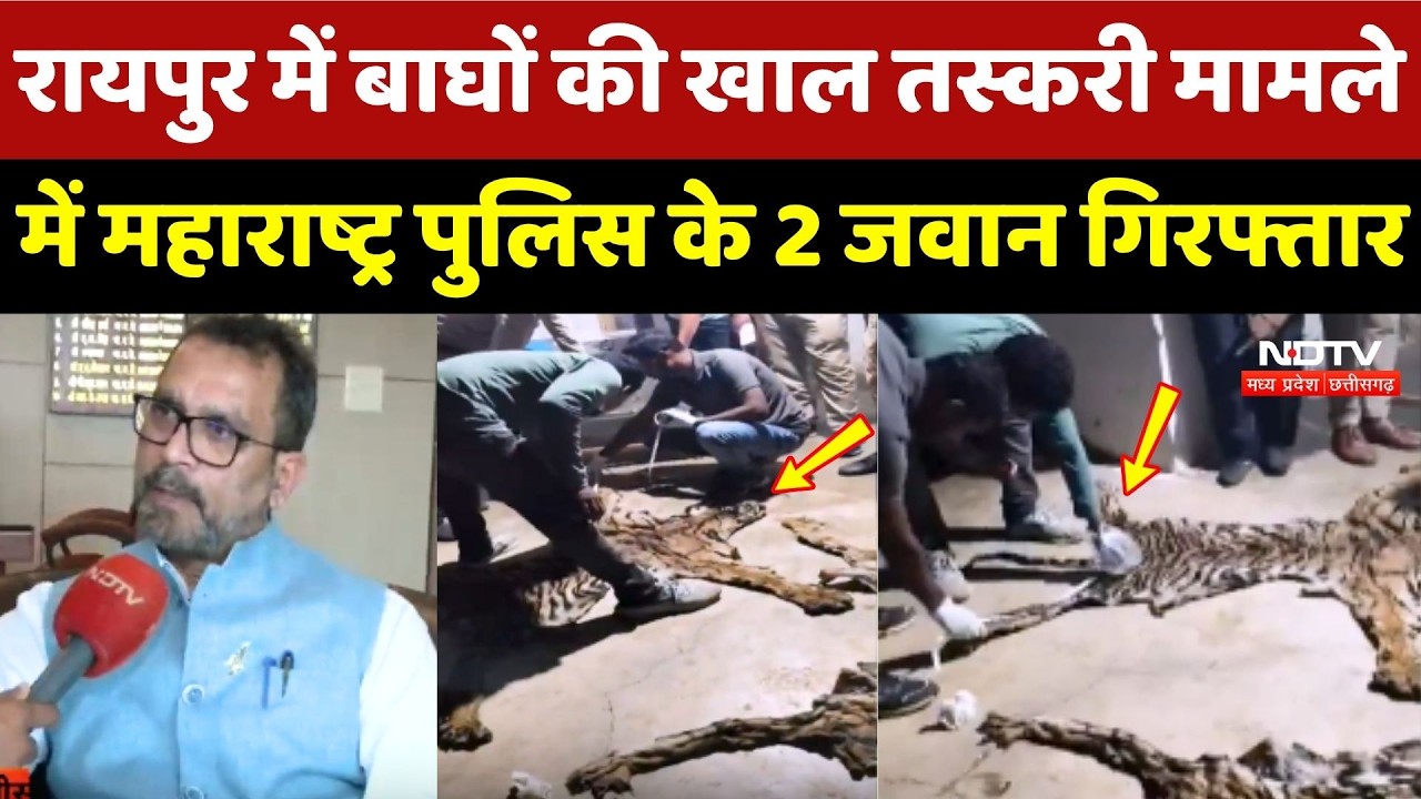 Raipur में Tigers की Khel Smuggling Case में Maharashtra Police के 2 जवान गिरफ्तार!