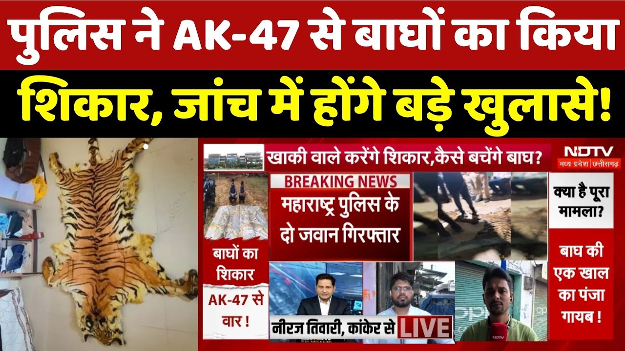 Tiger Skin Smuggling Case:Police ने AK-47 से बाघों का किया शिकार, जांच में होंगे बड़े खुलासे!