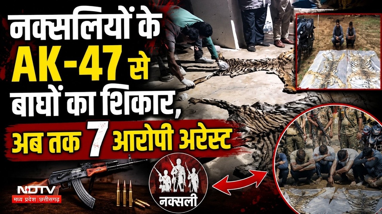 Tiger Skin Smuggling: Naxalites की AK-47 से बाघों का शिकार? 7 गिरफ्तार, बड़ा खुलासा! Raipur News