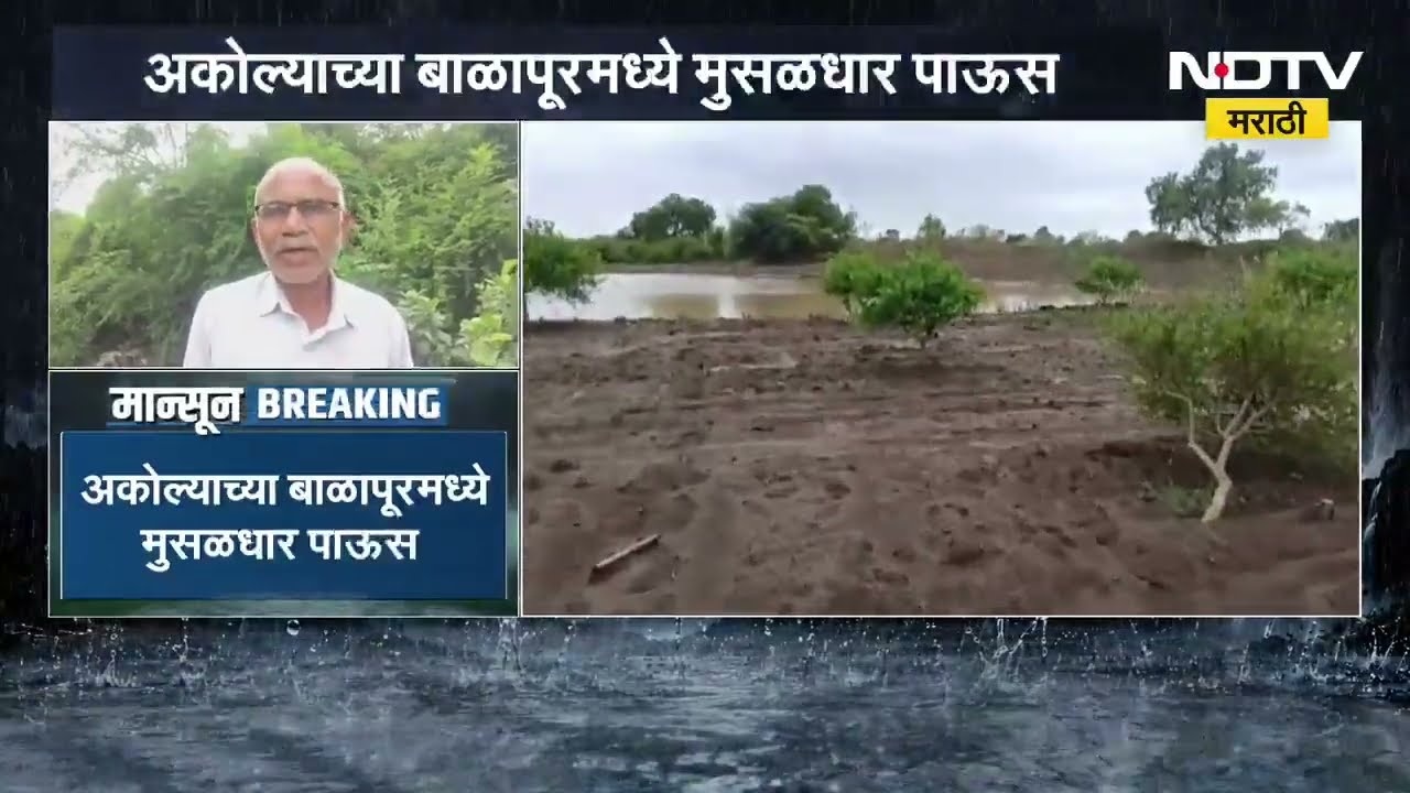 Akola Rain| अकोल्याच्या बाळापूरमध्ये मुसळधार पाऊस, शेती जलमय; शेतकऱ्यांवर दुबार पेरणीचे संकट