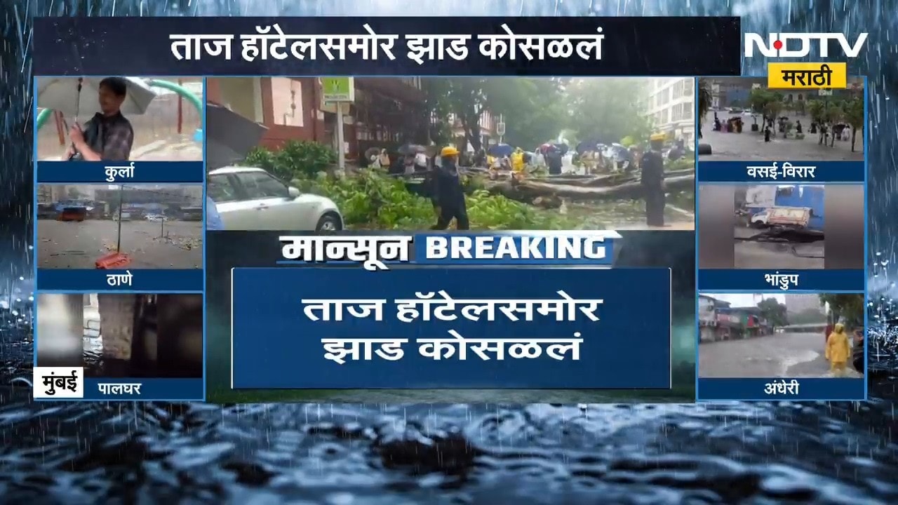 Mumbai Rain | मुंबईत ताज हॉटेलसमोर झाड कोसळलं,तर पावसामुळे LBS मार्गाला नदीचं स्वरुप