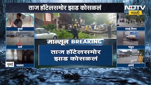 Mumbai Rain | मुंबईत ताज हॉटेलसमोर झाड कोसळलं,तर पावसामुळे LBS मार्गाला नदीचं स्वरुप