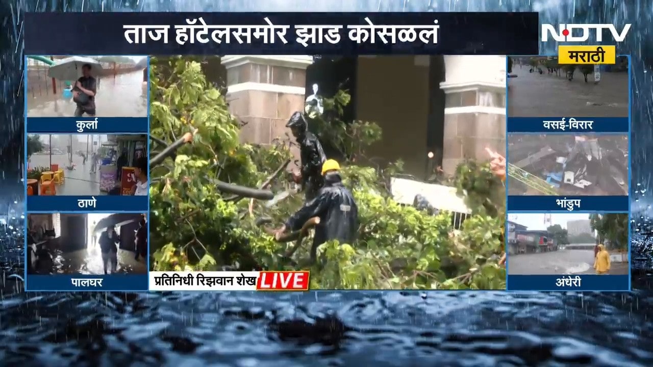 Mumbai Tree Collapsed News | मुंबईत अनेक ठिकाणी झाडं कोसळण्याच्या घटना, ताज हॉटेलसमोर झाड कोसळलं