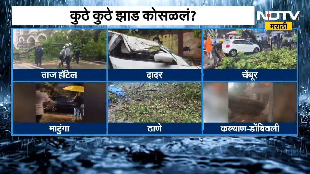 Mumbai Rain | मुंबईत ठिकठिकाणी झाडं कोसळण्याच्या घटना, कुठे कुठे झाड कोसळलं?