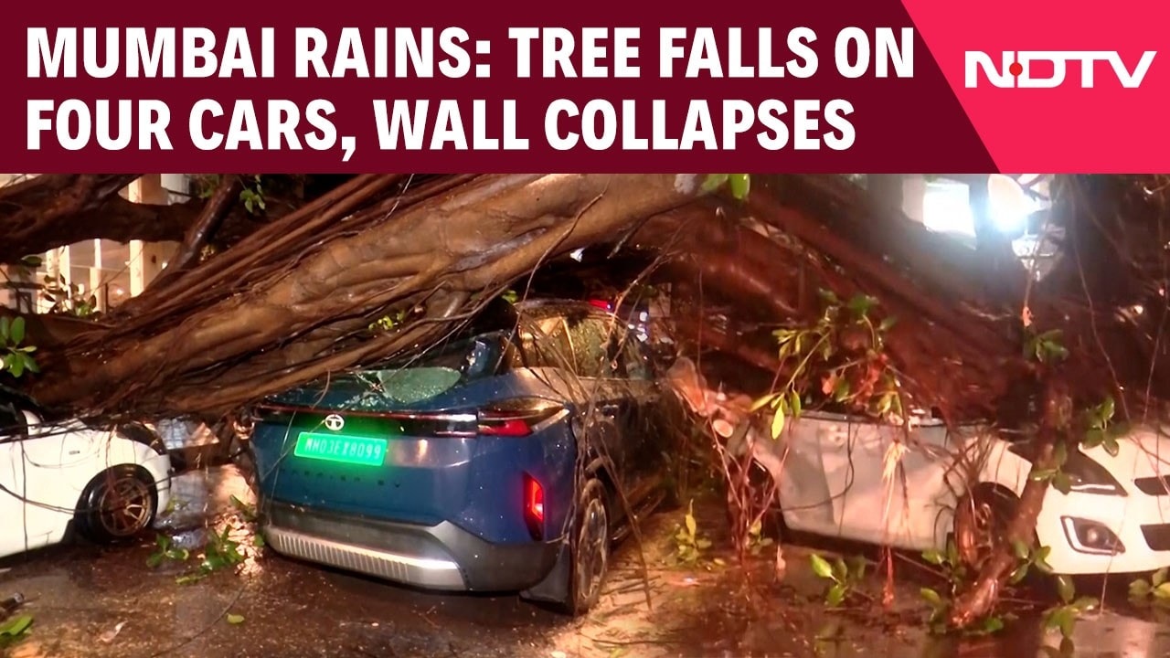 Massive Tree Crushes Four Cars As Mumbai Rains Intensify