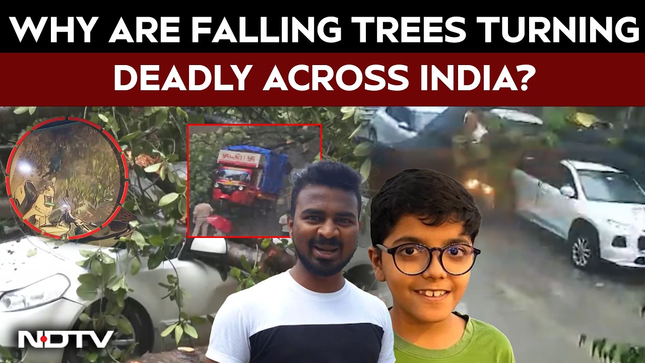 Mumbai Rain News | Monsoon Tragedies: Why Are Falling Trees Killing People Across India?