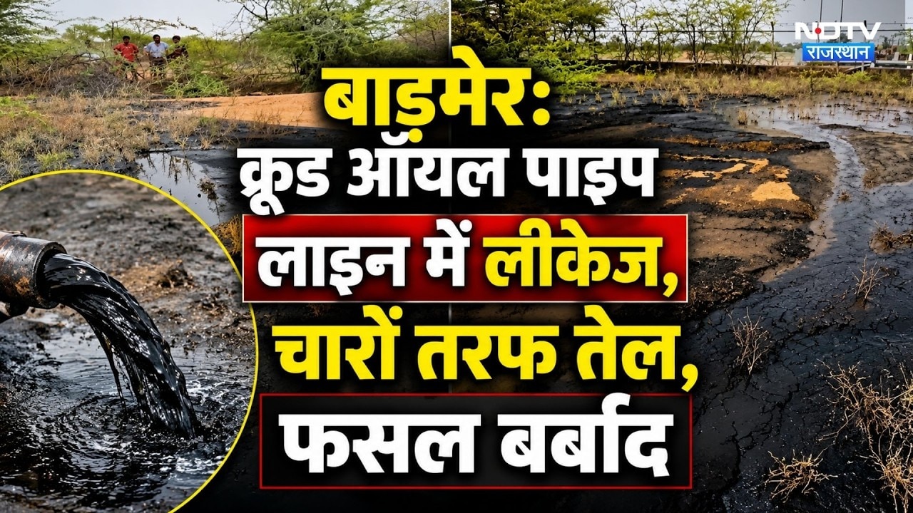 Crude Oil Pipeline में लीकेज, खेतों में फैला तेल, फसल बर्बाद | Breaking। Barmer। Pipeline Leakage