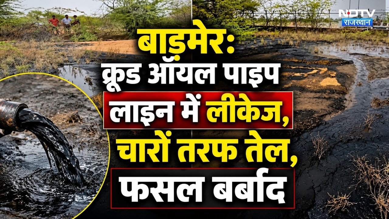 Crude Oil Pipeline में लीकेज, खेतों में फैला तेल, फसल बर्बाद | Breaking। Barmer। Pipeline Leakage