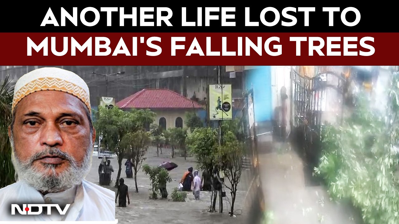 Mumbai Rains: Falling Tree Kills Man In Kurla | Mumbai Monsoon