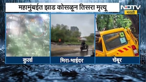 Kurla Tree Collapsed |महापौरांच्या कार्यालयात याच प्रश्नांची उत्तरं घेण्यासाठी गेले होते-पेडणेकर