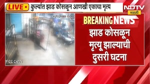 Mumbai Kurla Tree Collapsed | कुर्ल्यातील घटनास्थळावरुन NDTV मराठीचे LIVE Coverage
