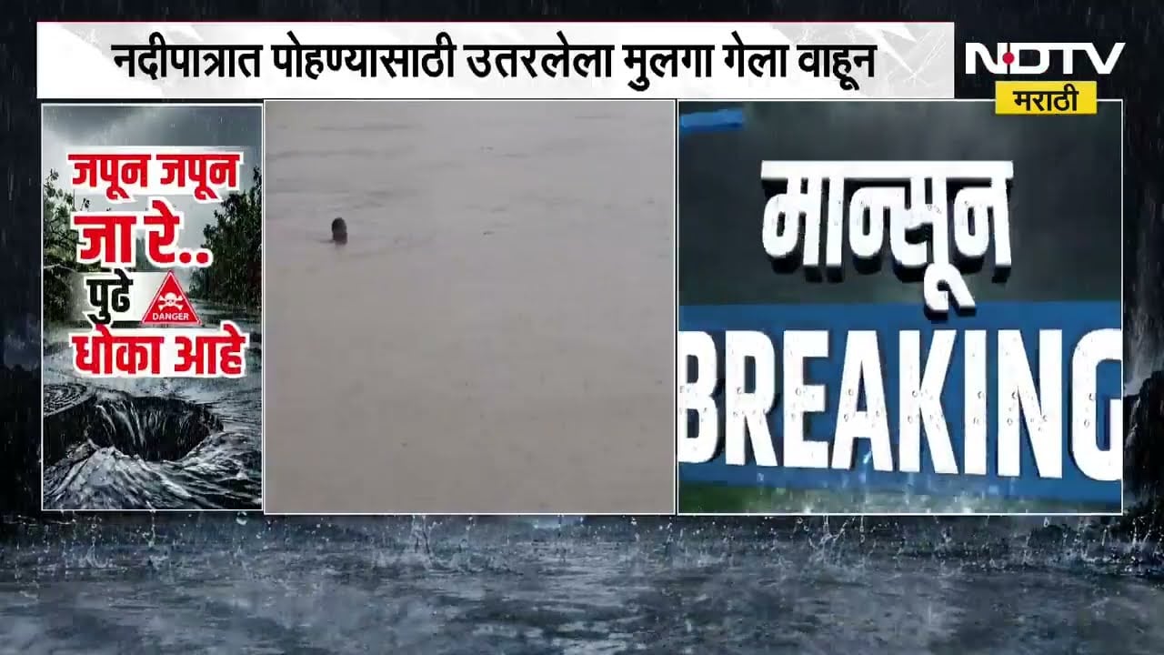 Rain Update | मुंबईत झाड कोसळण्याच्या घटना, मनपाला 250 हून अधिक तक्रारी | NDTV Marathi