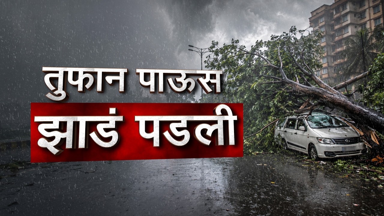 Maharashtra Rain| राज्यात मुसळधार पाऊस, पाहा कुठे कोणता अलर्ट; जिल्ह्यांमध्ये कशी असणार स्थिती?
