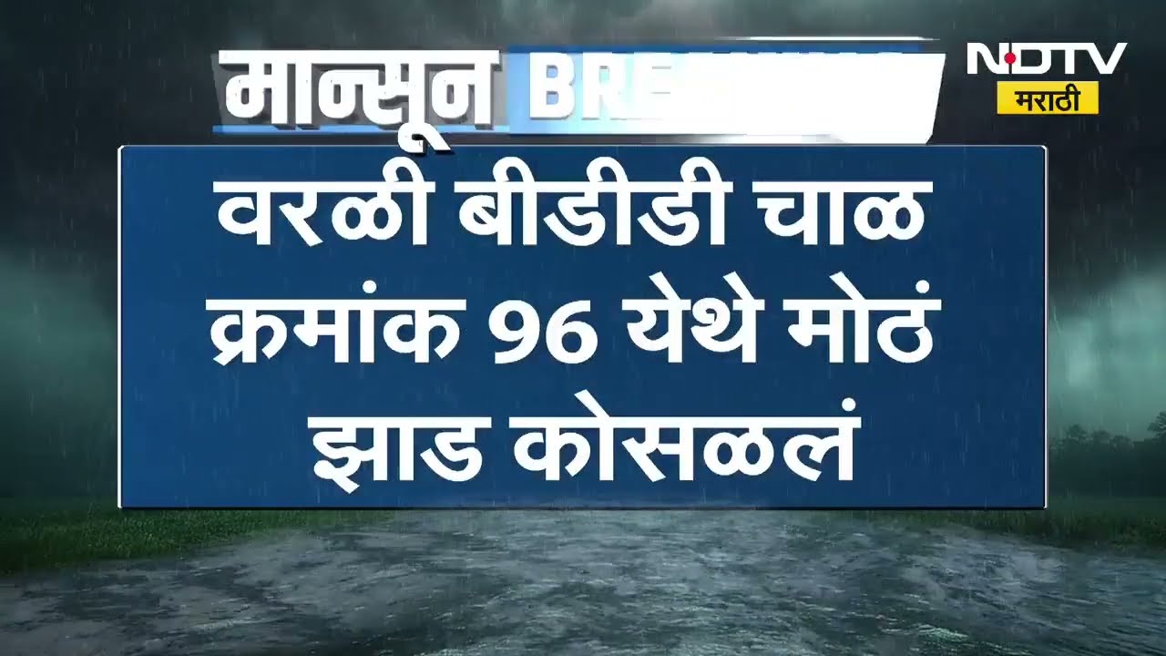Worli BDD चाळ क्रमांक 96 जवळ मोठं झाड कोसळलं, झाड कोसळून 3 जण जखमी, गाड्यांचं मोठं नुकसान